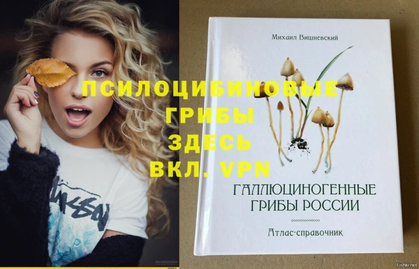apvp Абинск